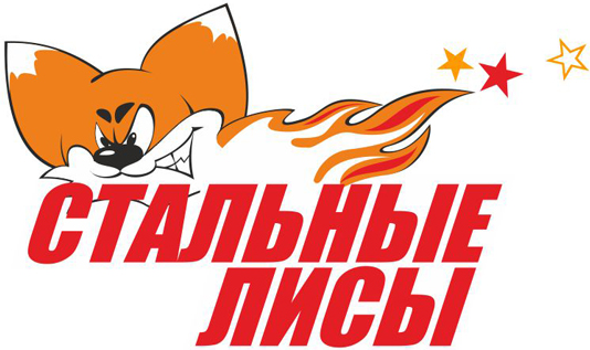 Stalnye Lisy 2009-Pres Primary Logo iron on transfers for clothing